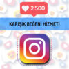 instagram karışık beğeni hizmeti 2.500 beğeni